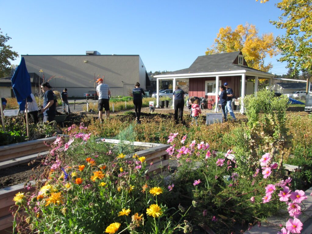 Community volunteers working together in a garden